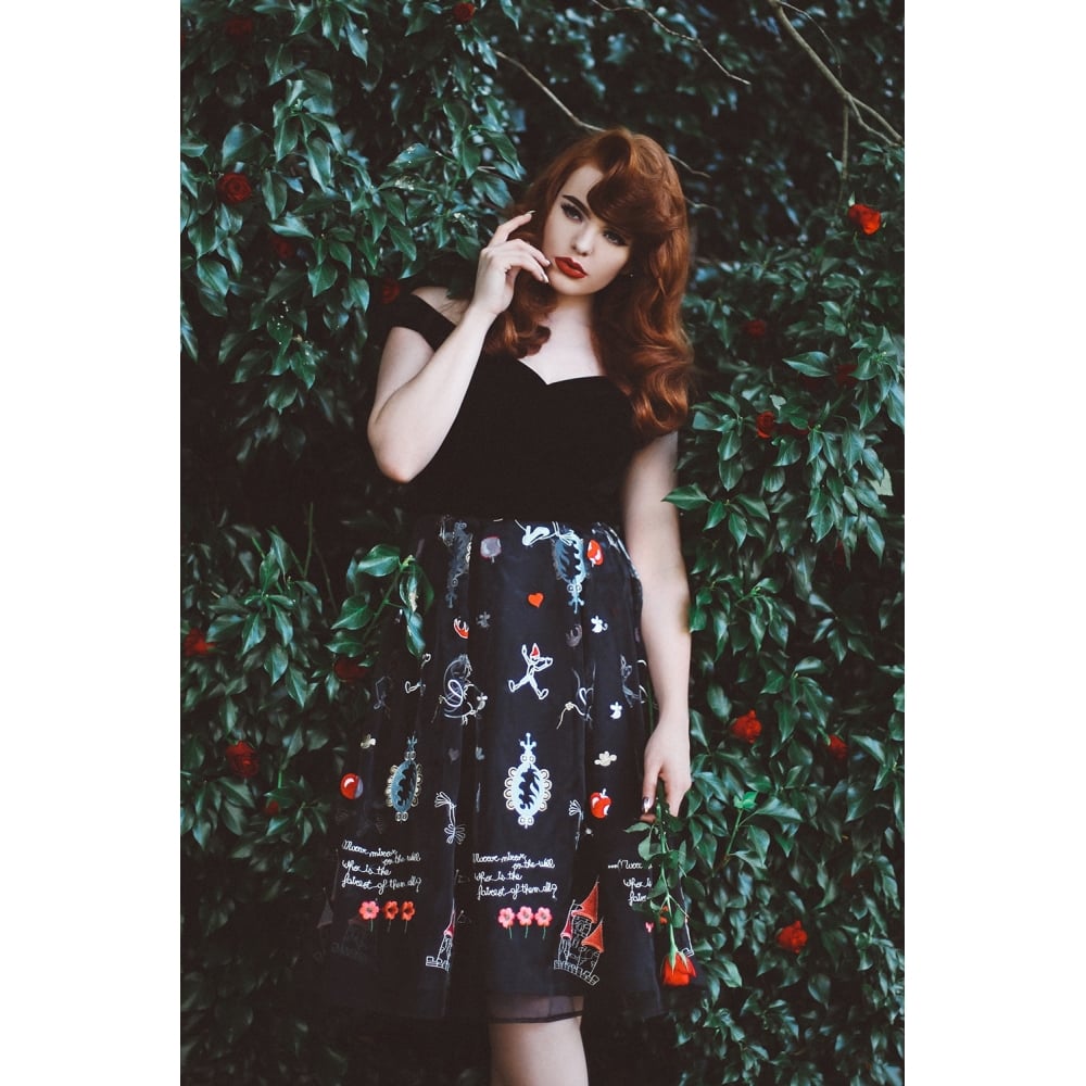 collectif fairy dress Outfit: Collectif Fairy Dress